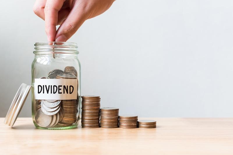 Dividend Alert: Thyrocare Technologies Shareholders Set to Receive ₹7 Per Share Payout