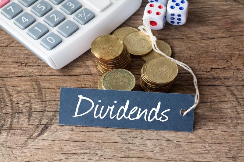 Bosch Home Comfort Dividend Yield at 2.58%: Payout Ratio, Fundamentals, and What Investors Need to Know About This High-Yield Indian Stock
