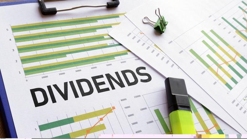 SNL Bearings Dividend Yield at 3.91%: Payout Ratio, Fundamentals, and What Investors Need to Know About This High-Yield Indian Stock