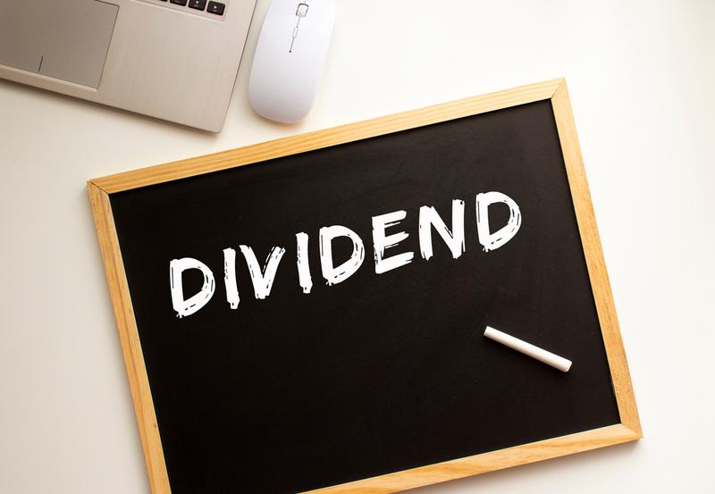 D-Link India Dividend Yield at 4.97%: Payout Ratio, Fundamentals, and What Investors Need to Know About This High-Yield Indian Stock