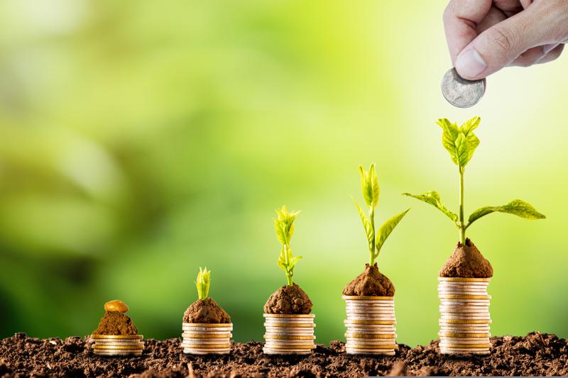 Enbee Trade Dividend Yield at 3.99%: Payout Ratio, Fundamentals, and What Investors Need to Know About This High-Yield Indian Stock