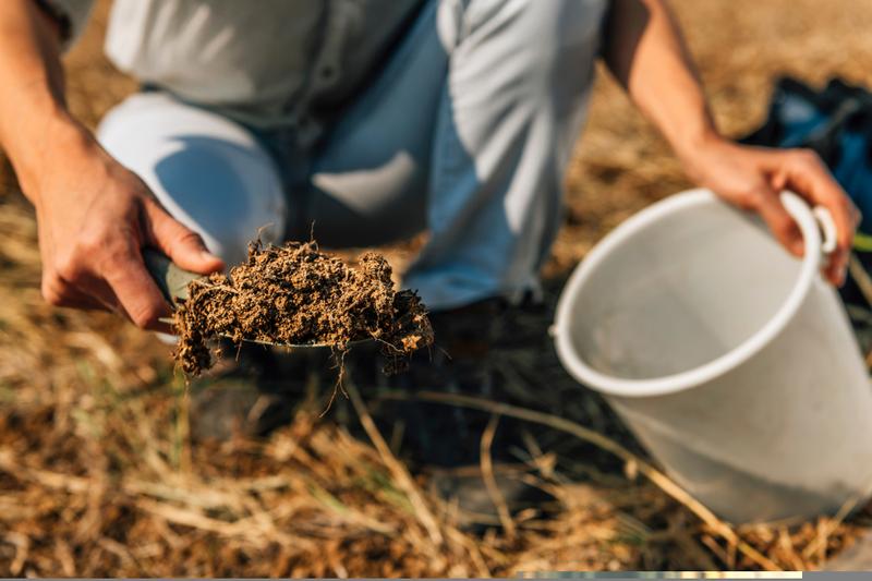 Why Have Soybean Prices Jumped 11% in Three Months Amid the U.S.-Iran War?
