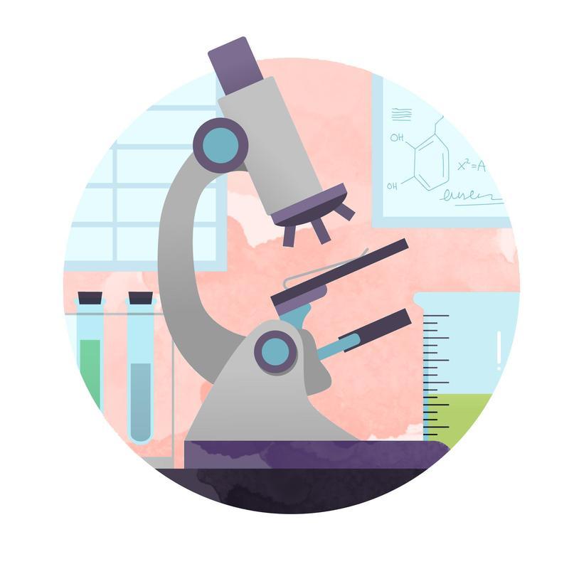 Apollo Hospitals (NSE:APOLLOHOSP) Reports Double-Digit Revenue Growth in Q2FY26