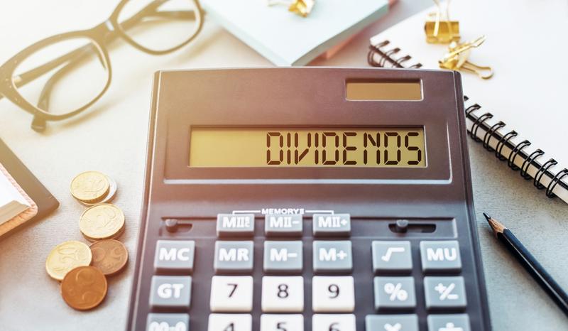 Crizac Dividend Yield at 3.88%: Payout Ratio, Fundamentals, and What Investors Need to Know About This High-Yield Indian Stock