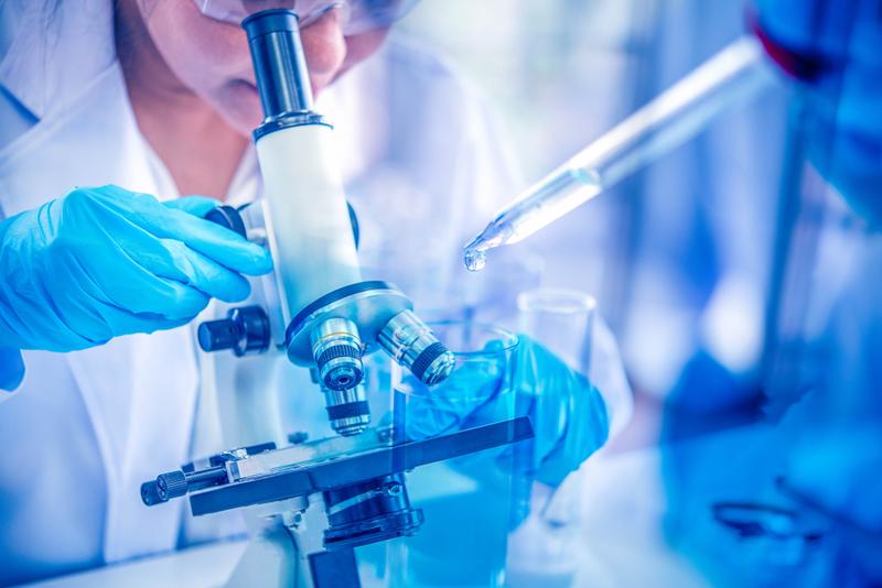 Shilpa Medicare Delivers 78.61% Six-Month Gain: Fundamental Analysis, KPIs, and Business Overview