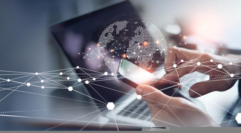 Birlasoft Ltd Dividend Yield at 2.14%: Payout Ratio, Fundamentals, and What Investors Need to Know About This High-Yield Indian Stock