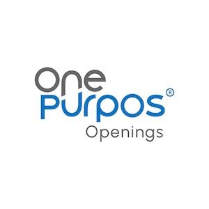 NGOBOX Rebrands as One Purpos Openings, Marking a Strategic Shift Toward Structured Talent and Opportunity Solutions